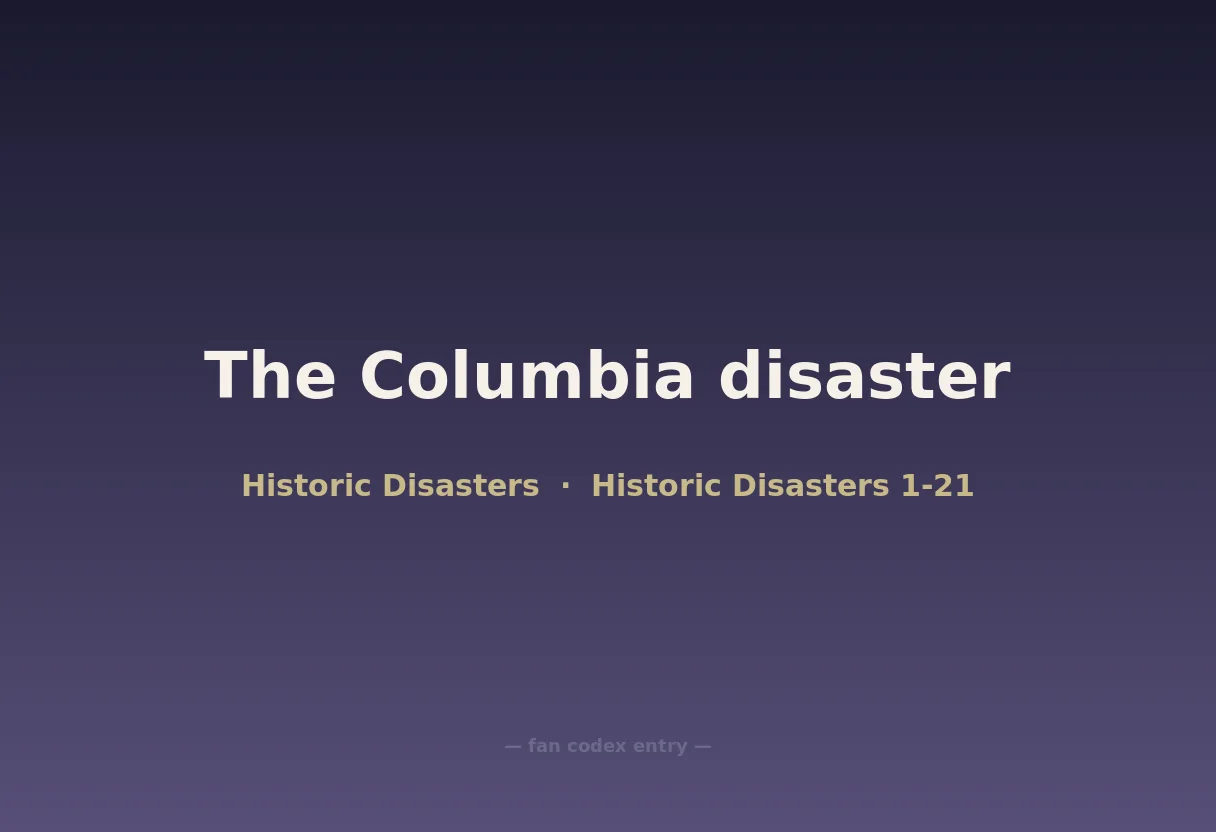The Columbia disaster